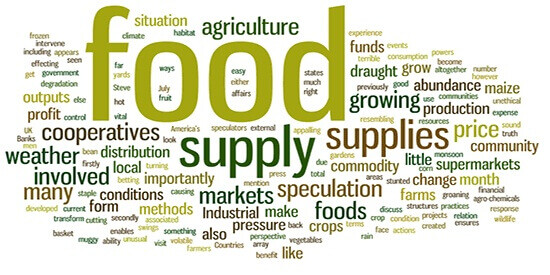 food-control-wordle